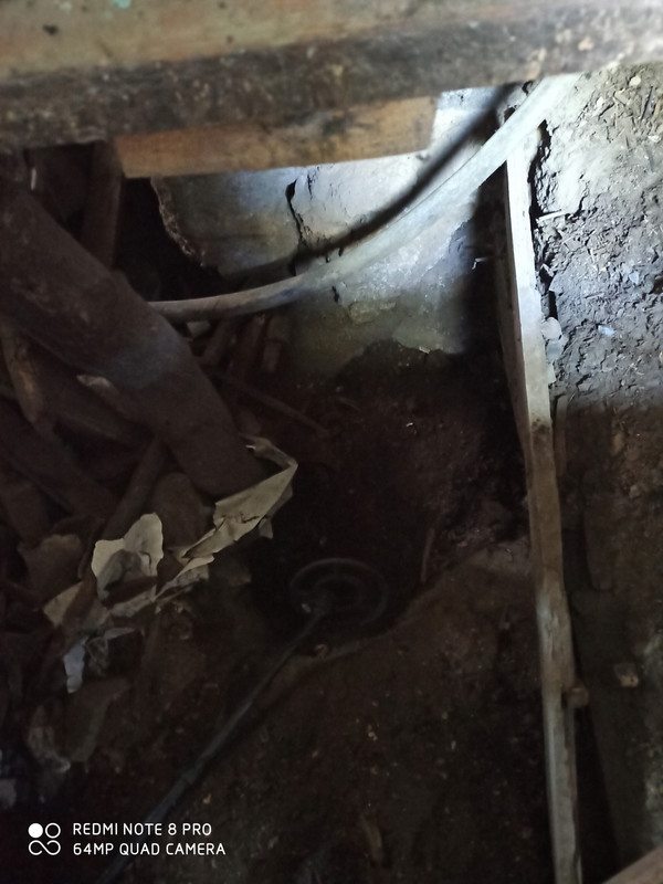 IMG_20220503_123322 (1)