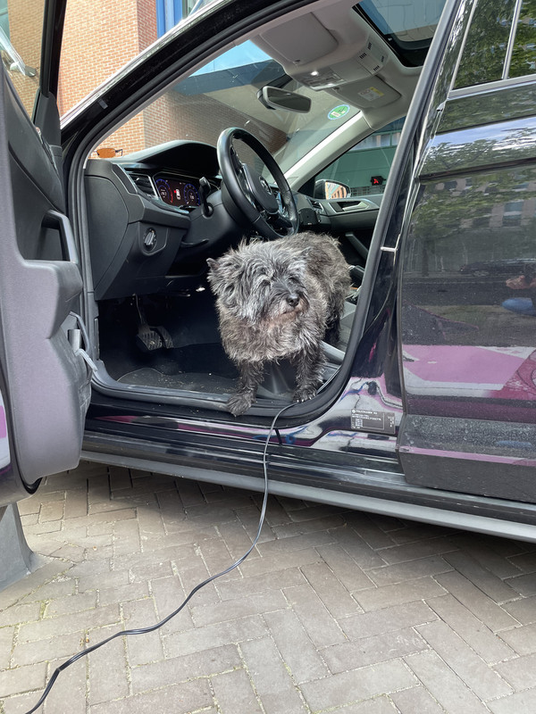 BF98D2D9-6F6F-45D1-915B-22EABC92D2CC