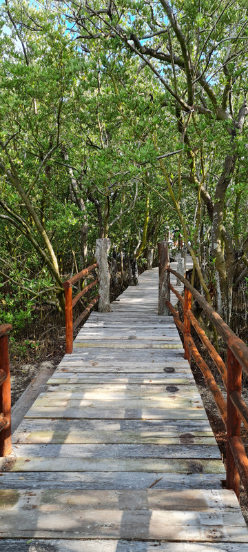 Isla Mujeres e Isla Contoy, un regalo de la naturaleza - Riviera Maya en Navidad (21)