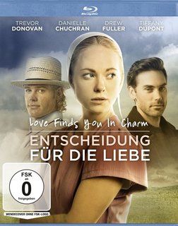 L'Amore Sa Dove Trovarti (2015) WebDL 1080p AC3 ITA - ENG