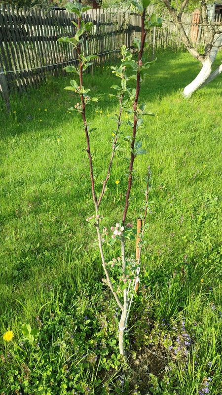 IMG_2023_06_02_18_20_05_9544756065599560734172