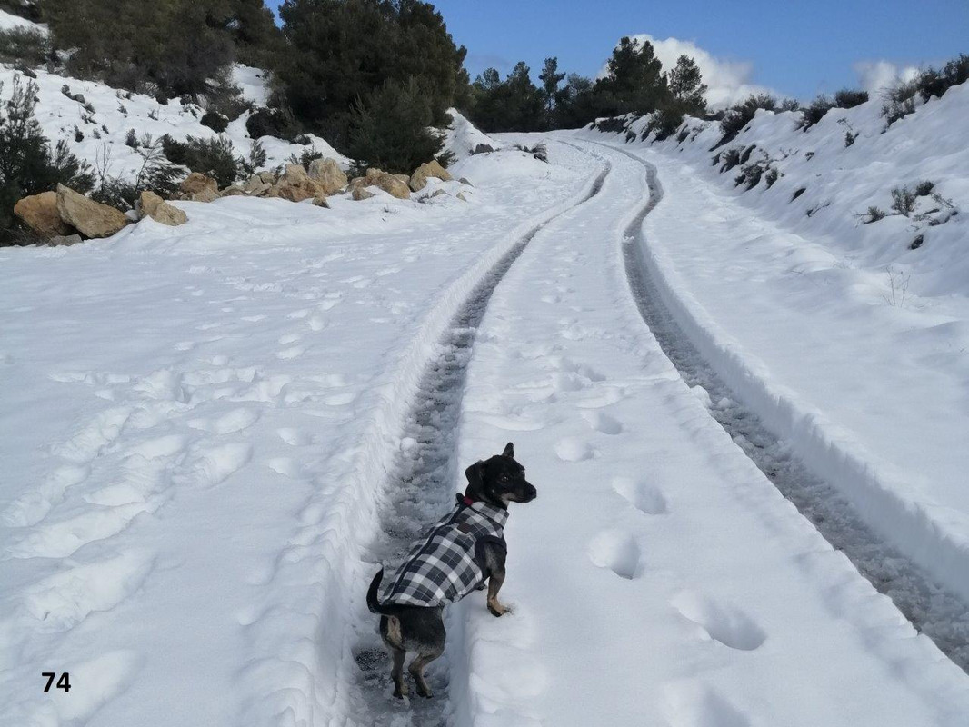 74 IMG_20200126_115732 ew