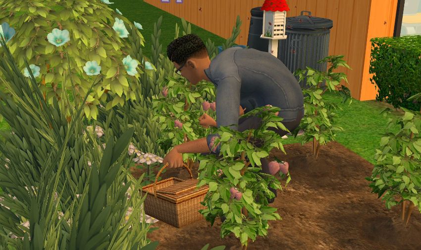 Sims2-EP9-2021-01-16-11-08-25-78