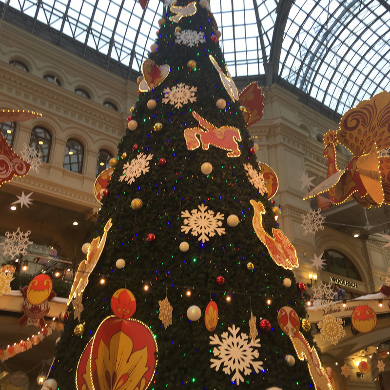 Ладья и Предновогодняя Москва 2025 035