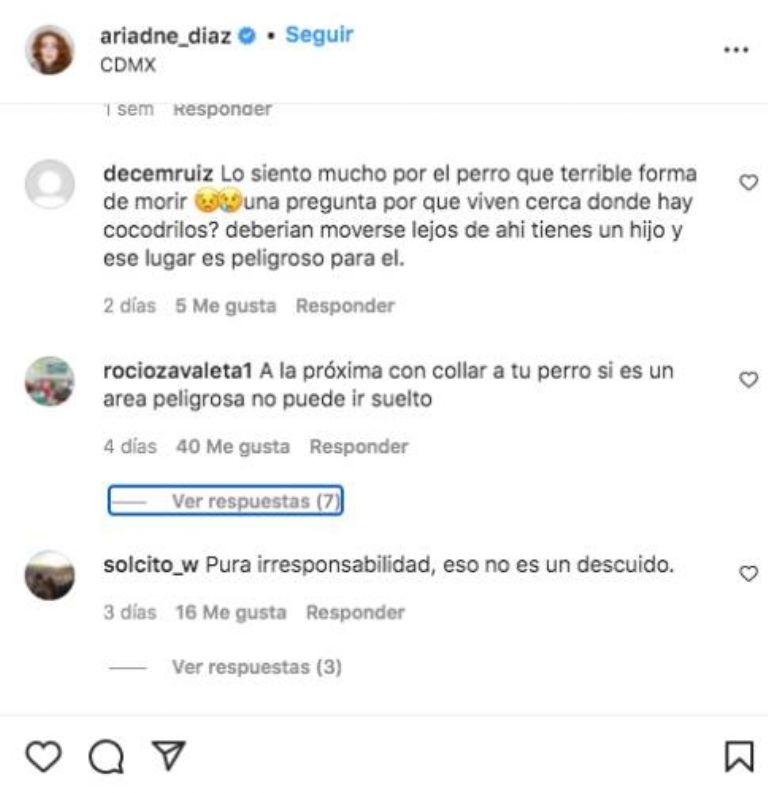 Ariadne Díaz es criticada por trágica muerte de su perrita