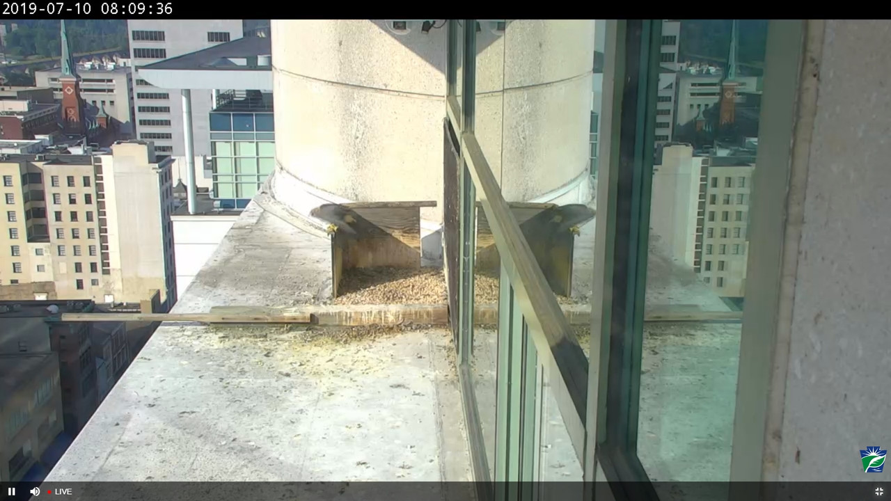 capture_10072019_141128