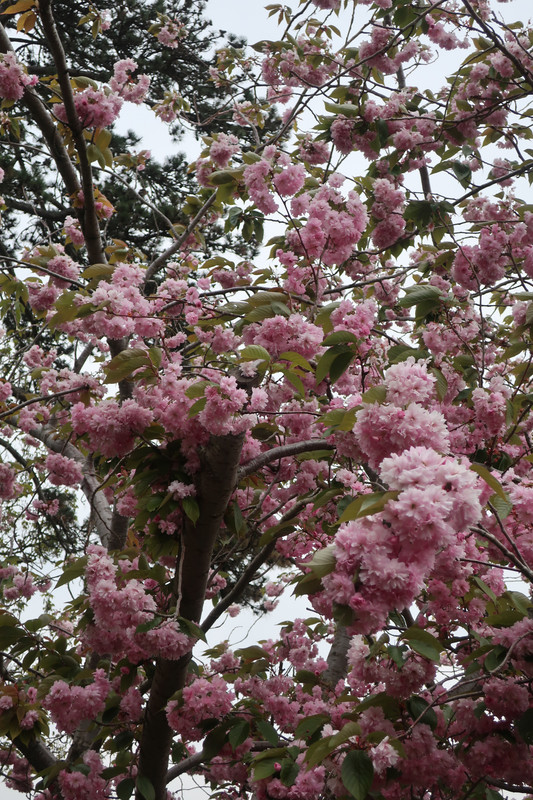 IMG_3344