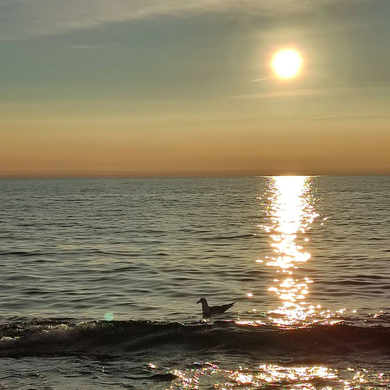 IMG_20220302_121140_580