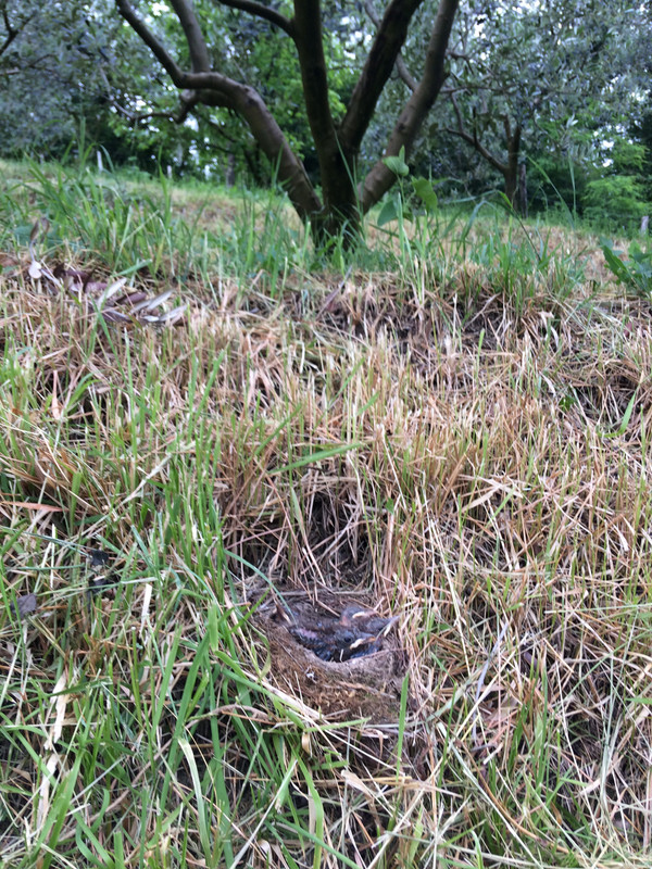 E7A157E0-DFCA-4691-8ABC-C7913F059144