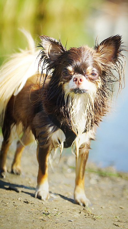 Lumii_20210608_110911536