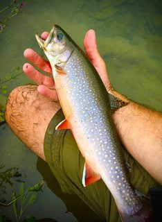 june 13 2021 e branch owego pic 2