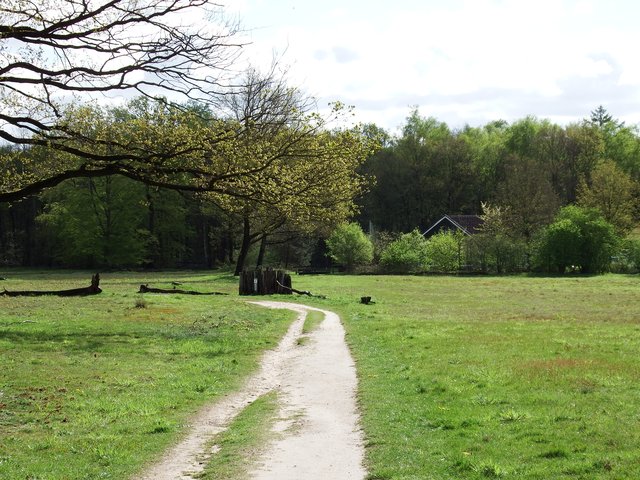 Afbeelding