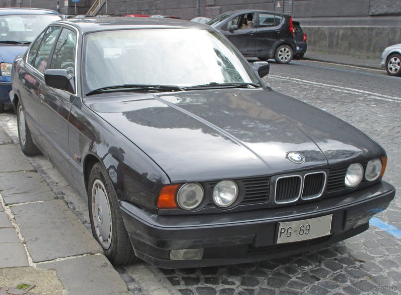 IMG-6694.jpg