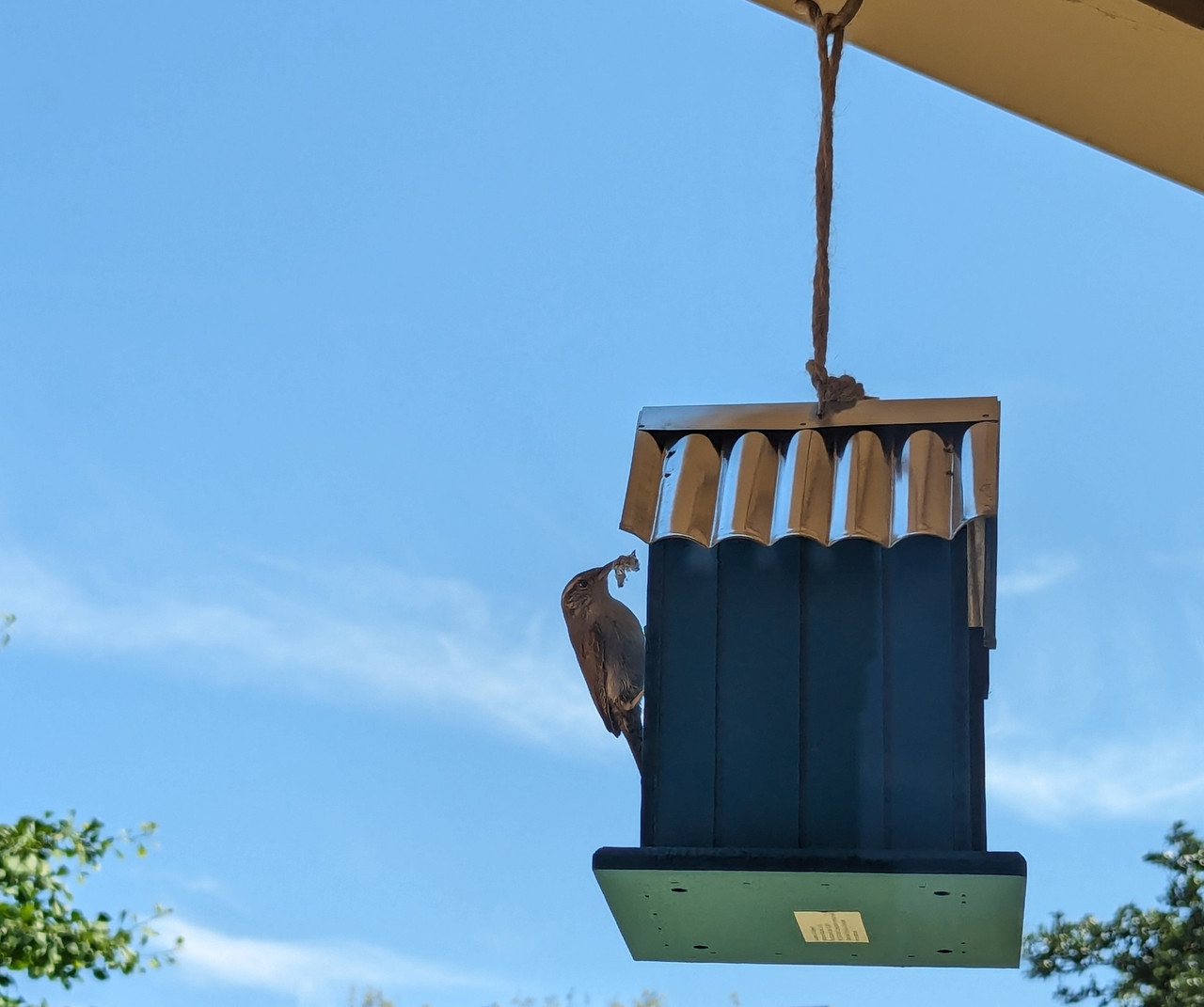 PXL 20240510 155050374 01