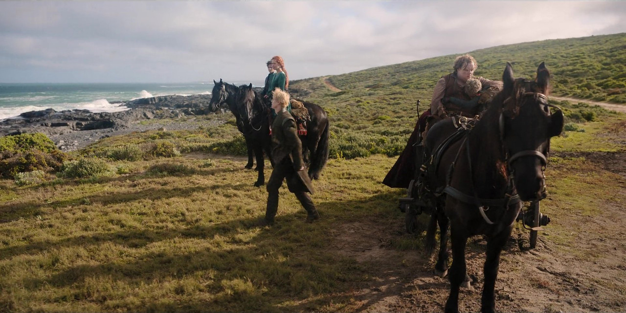 cat-2025-10-30-08h46m58s408