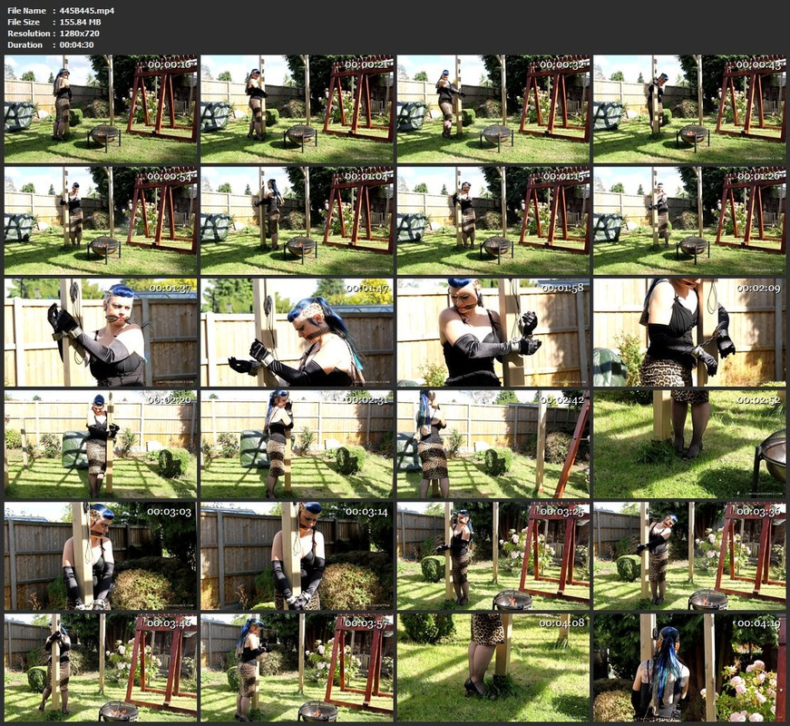 445B445.mp4