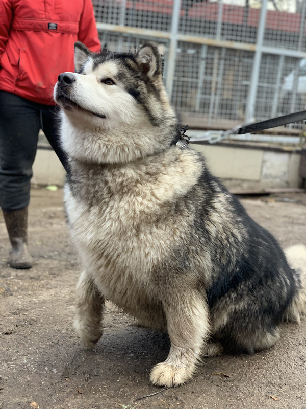 E62D66BC-BD3B-4335-B10E-4B9D9EE97123