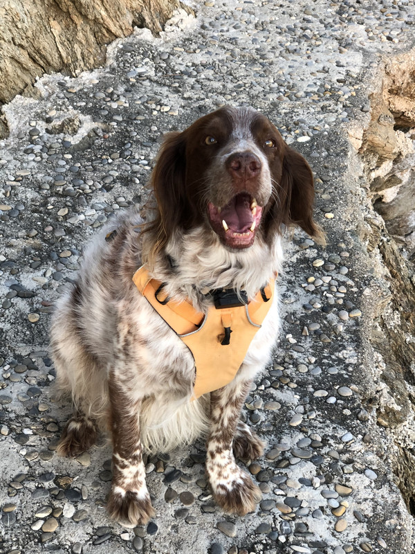 580D72C3-012C-4948-A4EC-4D9689FA3828