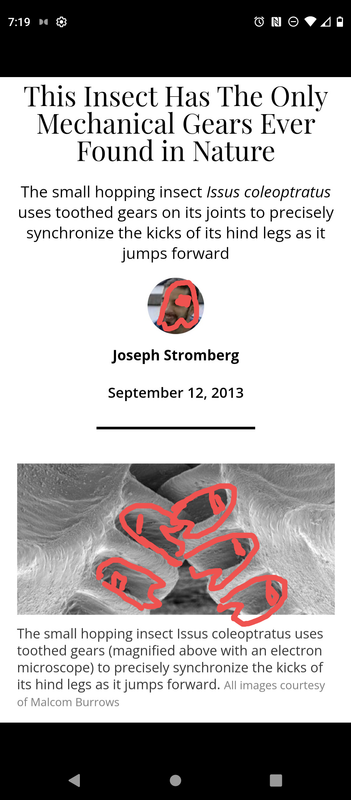 Screenshot_20230329-192244-016