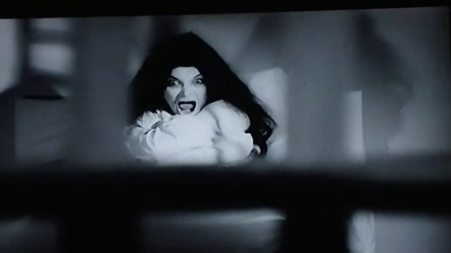 Confessions of a Psycho Cat (1)