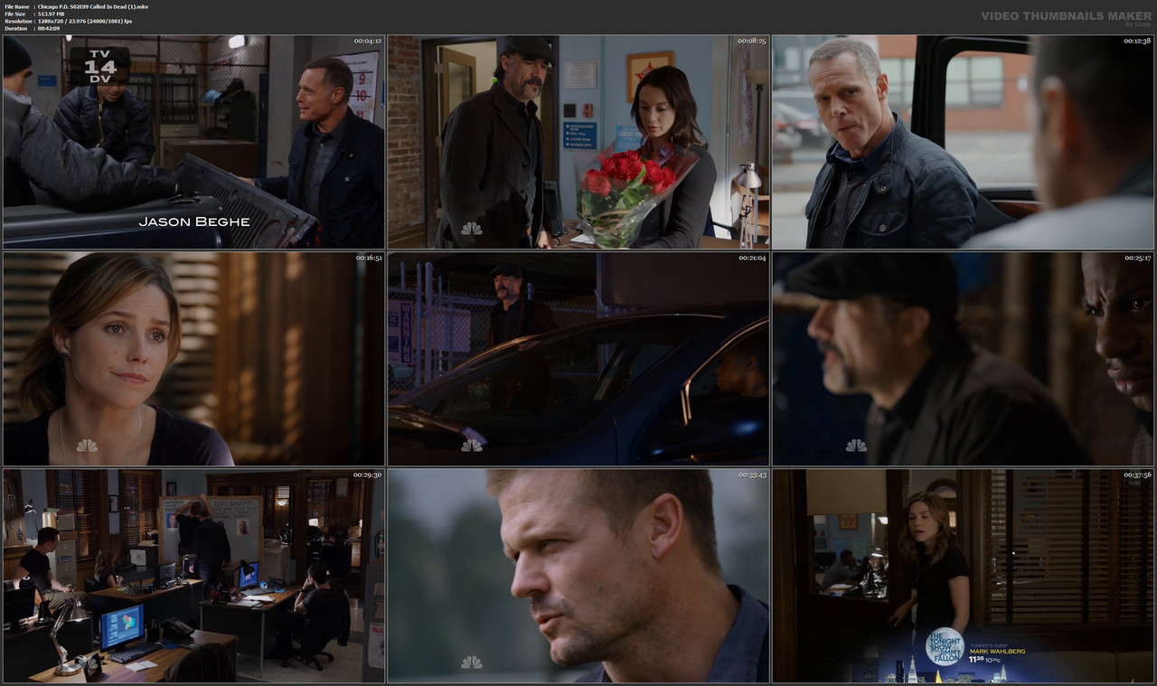Chicago P.D. S02E09 Called In Dead (1).mkv