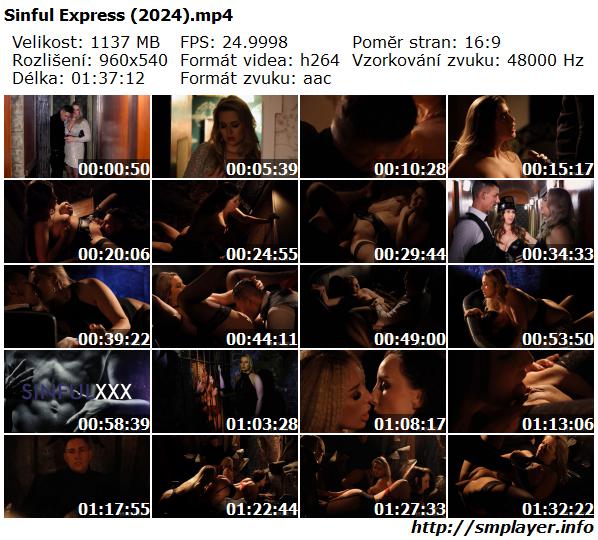 Sinful Express (2024)