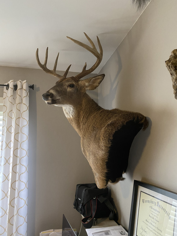 779AB6DB-FA3E-4BA6-B80A-26A715389861