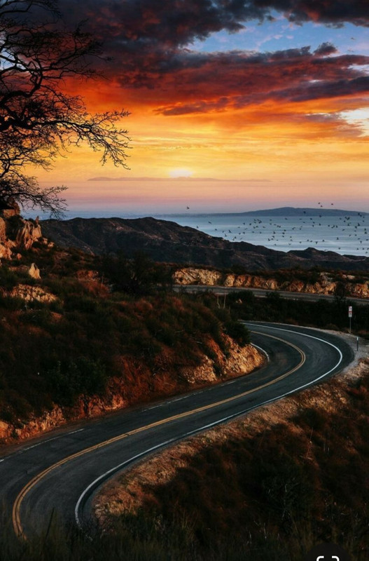 Screenshot_20231217_214408_Pinterest