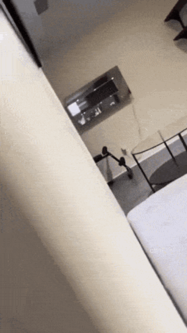 48.gif