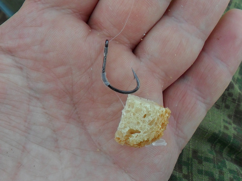 Бабка 26.05.2012 2