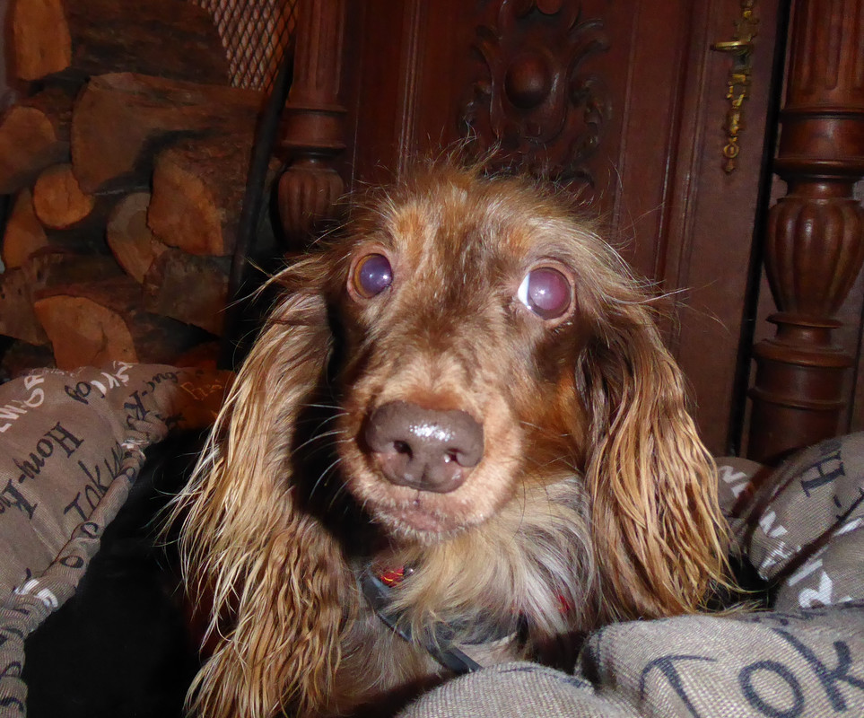 [Image: P1050491.jpg]