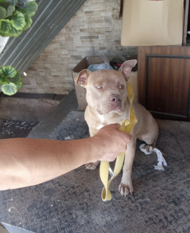 Снимок экрана 2024-05-27 в 21.02.20