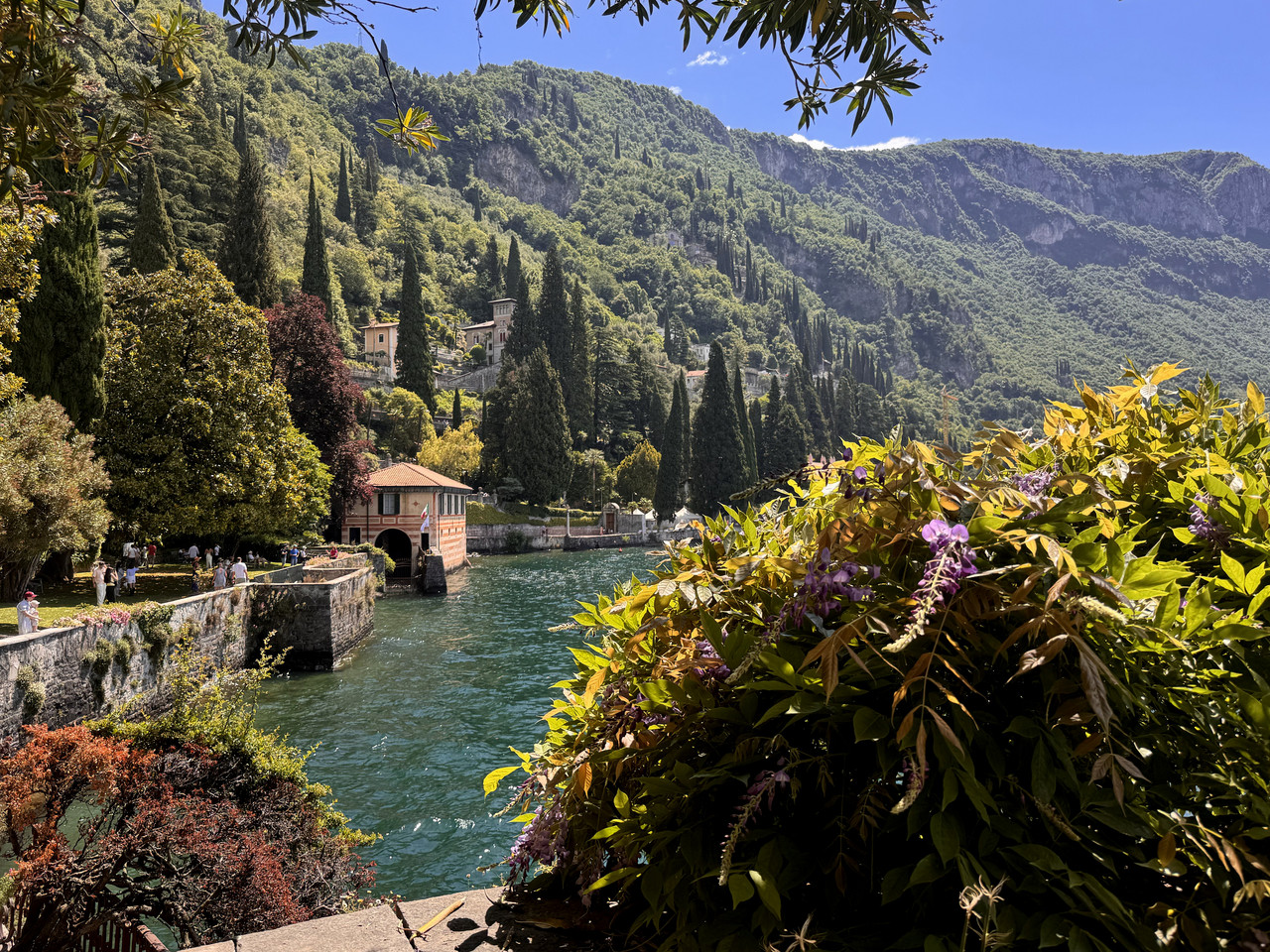 https://i.postimg.cc/kXtXVtqC/IMG-0110-edit-612438005411756.jpg