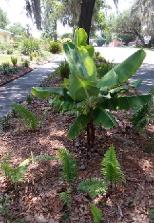 Screenshot 2020-04-23 at 1.41.11 PM