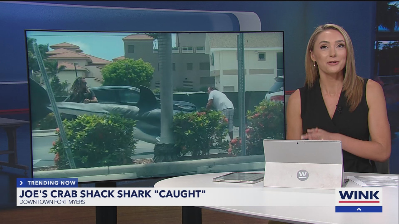 WINK News at 11_20250531_04000435.ts_snapshot_11.12.511