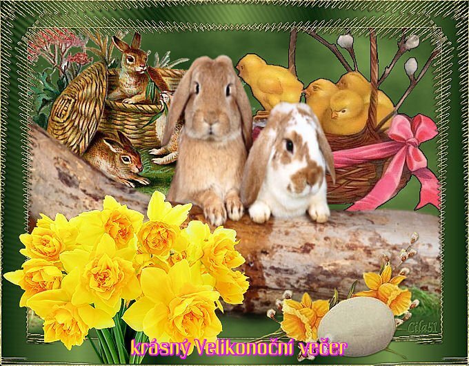 imageedit-4-2035017197