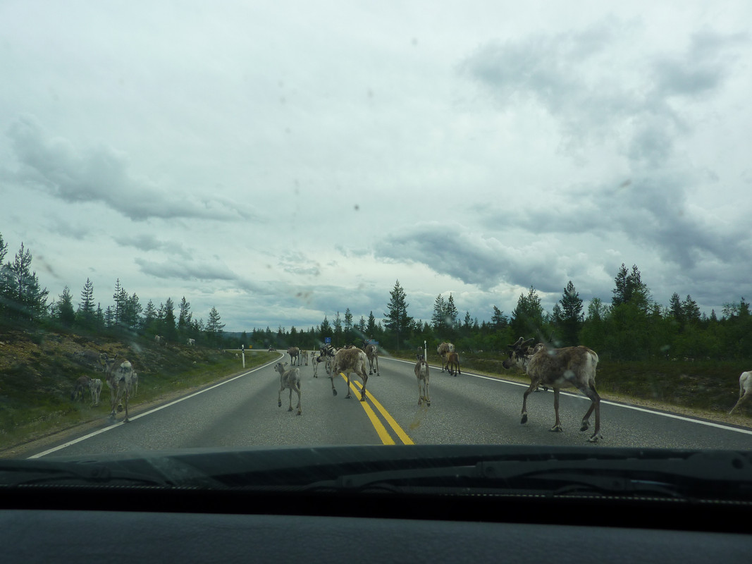 D8489776-A3D0-4138-BF75-07517E9B9317