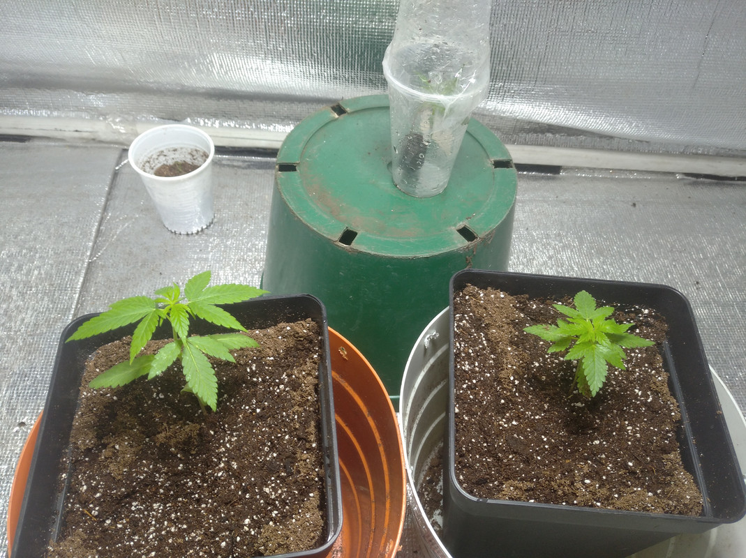 IMG_20230420_112420_1