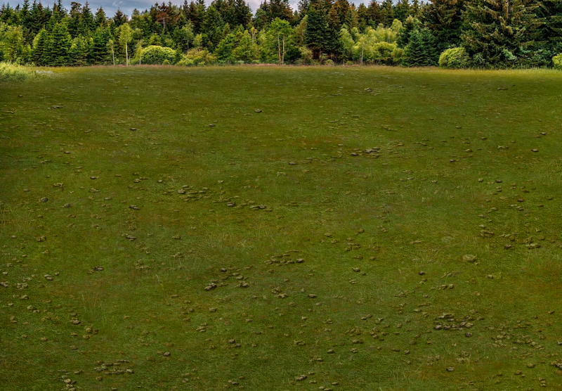 Image: CMBKGRMT435112.png