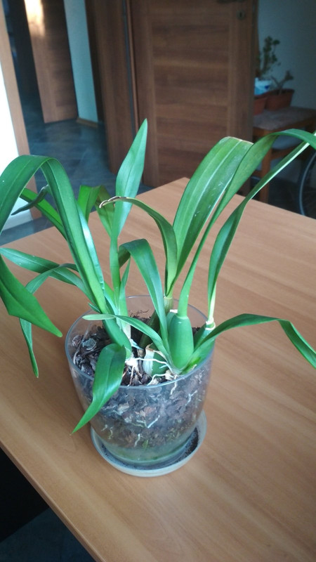 0-02-05-542b5a5ca771945e76c5f3e0b541ae43b41d08af36ca017c99f8b6fd8da04551_696cc169