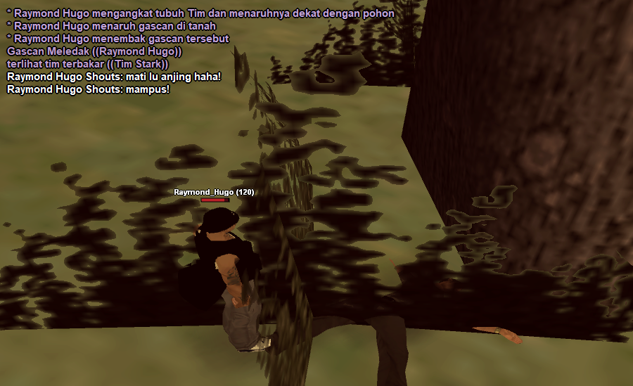 CK-13.png