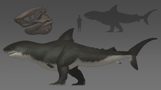 I thought this would be fitting for the Shark toothed Lizard, can't find an origin of this one