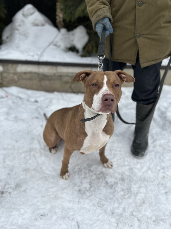 1593EA1C-C81A-4C5B-BEE5-7ED871DFD1B8