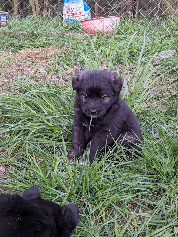 photo_2024-04-23_22-46-14 (2)