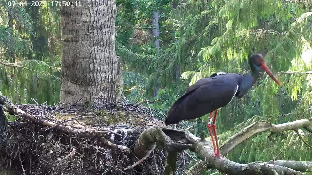 Ekrānuzņēmums 2025-07-04 230405