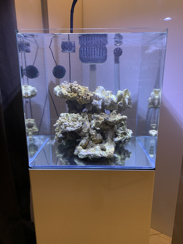 93B9E1DA-9E27-41EB-91BD-DC544E499F02