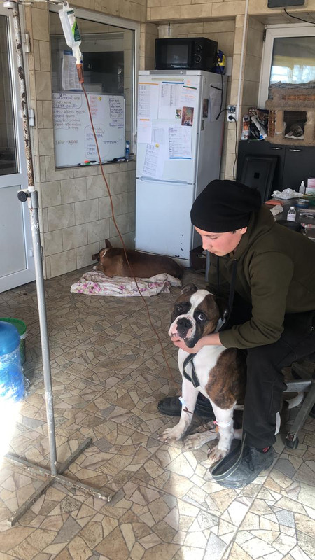 319F305D-265D-4132-BDE4-EAC46D93A33C