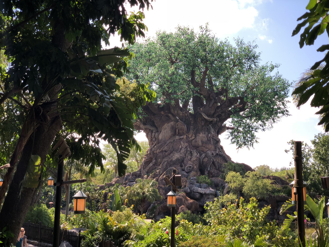 B80DCDBE-F930-40C0-ADD2-3270201DF68C