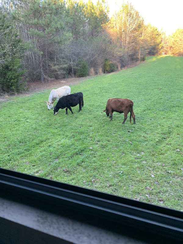 0A7A5A2E-A6B3-4C1F-843D-FDAE660C496A