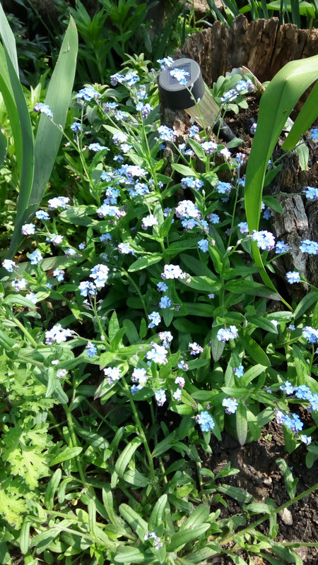 IMG_20190421_145356